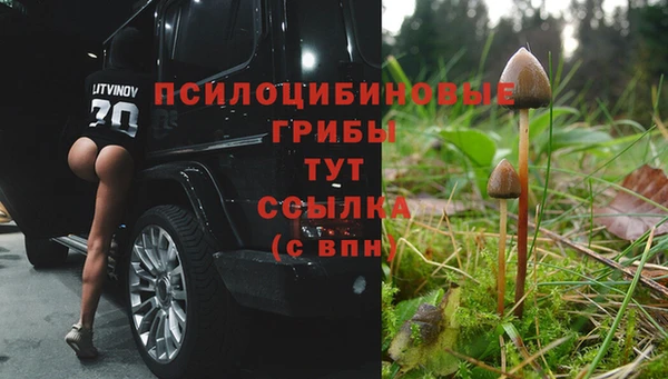метадон Алексеевка