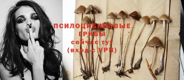 шишки Алзамай
