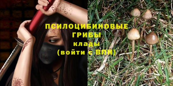 шишки Алзамай