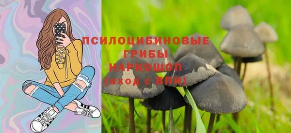 ГАЛЛЮЦИНОГЕННЫЕ ГРИБЫ Алексин