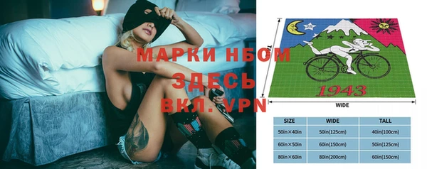 шишки Алзамай