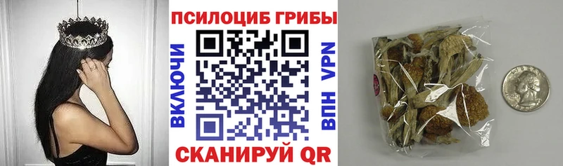 Псилоцибиновые грибы Magic Shrooms  Исилькуль 